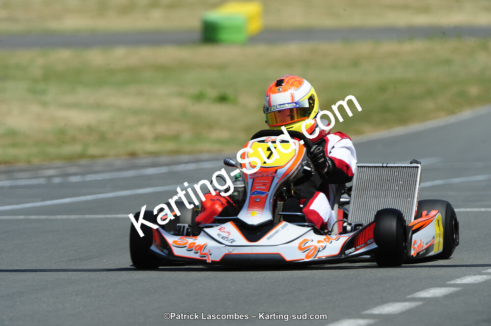 22/06/2014 : 4ème manche du Trophée Jean Paul Puyrigaud à Layrac (Photos Patrick Lascombes) 2014 — karting