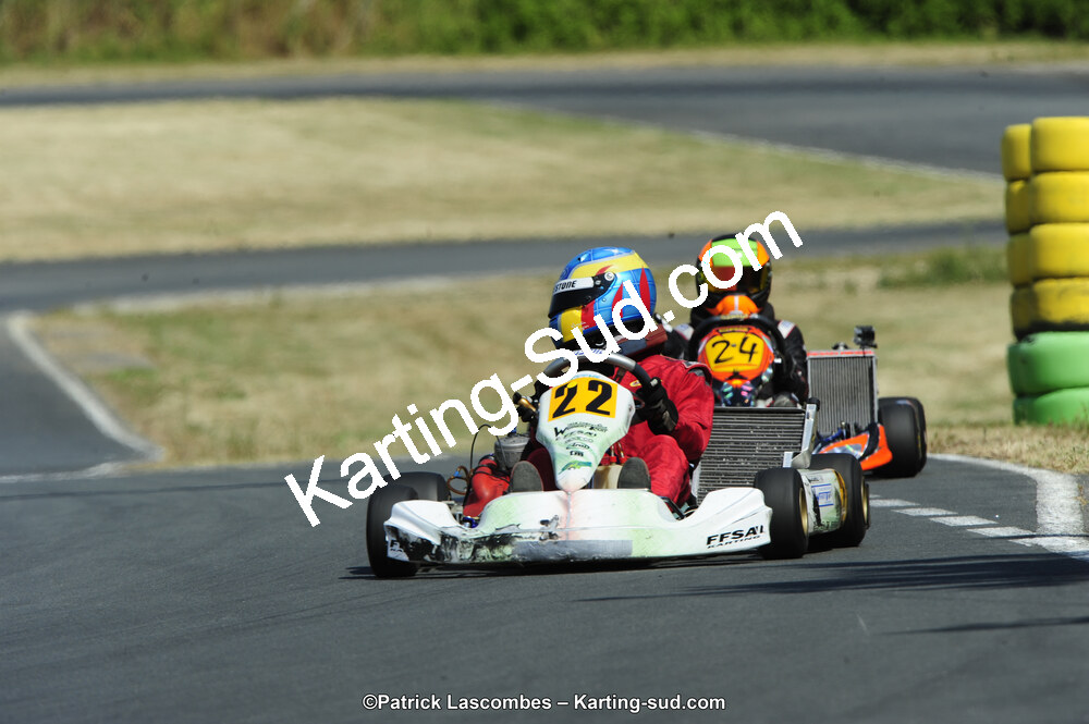 22/06/2014 : 4ème manche du Trophée Jean Paul Puyrigaud à Layrac (Photos Patrick Lascombes) 2014 — karting