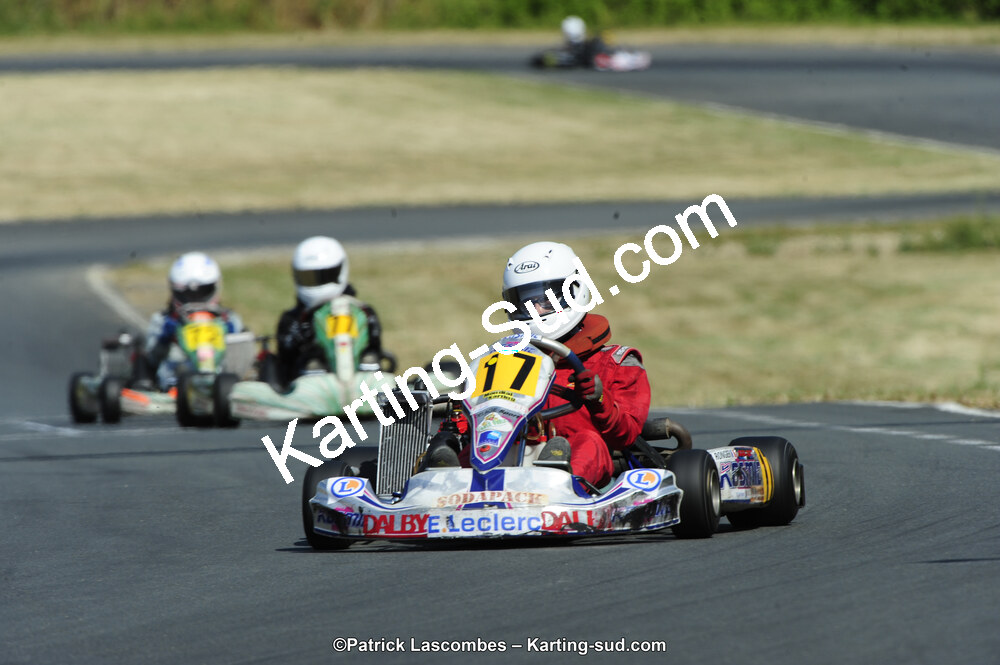 22/06/2014 : 4ème manche du Trophée Jean Paul Puyrigaud à Layrac (Photos Patrick Lascombes) 2014 — karting