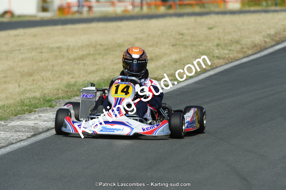 22/06/2014 : 4ème manche du Trophée Jean Paul Puyrigaud à Layrac (Photos Patrick Lascombes) 2014 — karting