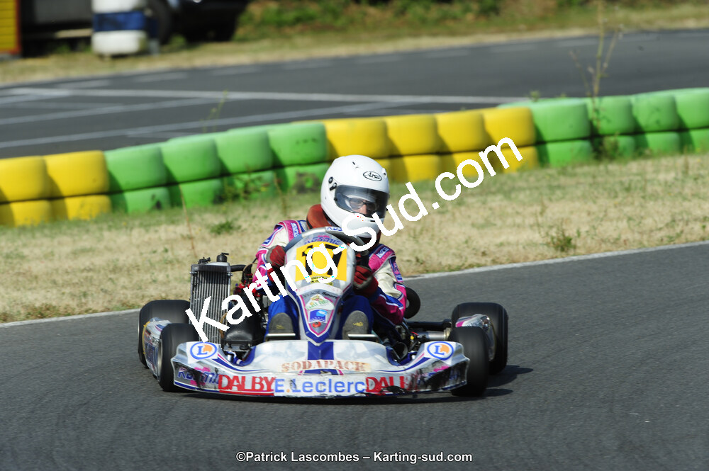22/06/2014 : 4ème manche du Trophée Jean Paul Puyrigaud à Layrac (Photos Patrick Lascombes) 2014 — karting