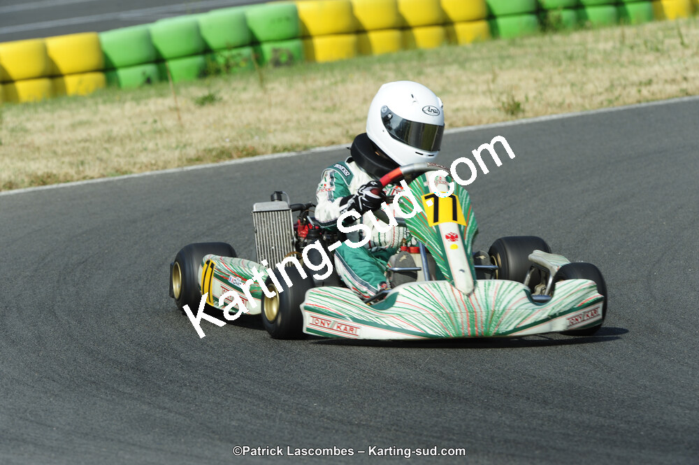 22/06/2014 : 4ème manche du Trophée Jean Paul Puyrigaud à Layrac (Photos Patrick Lascombes) 2014 — karting