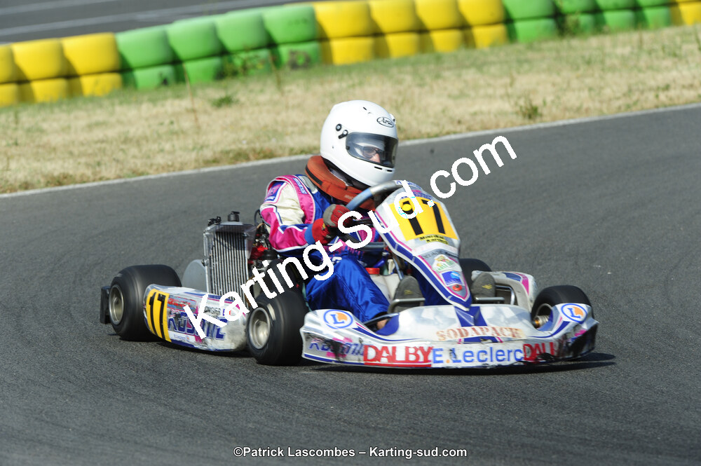 22/06/2014 : 4ème manche du Trophée Jean Paul Puyrigaud à Layrac (Photos Patrick Lascombes) 2014 — karting