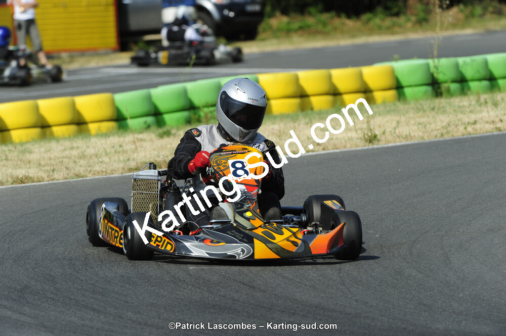 22/06/2014 : 4ème manche du Trophée Jean Paul Puyrigaud à Layrac (Photos Patrick Lascombes) 2014 — karting