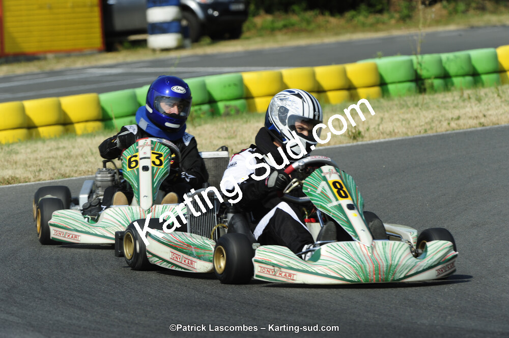 22/06/2014 : 4ème manche du Trophée Jean Paul Puyrigaud à Layrac (Photos Patrick Lascombes) 2014 — karting