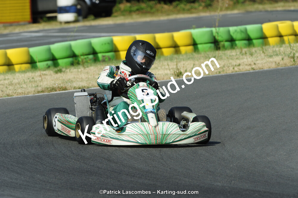 22/06/2014 : 4ème manche du Trophée Jean Paul Puyrigaud à Layrac (Photos Patrick Lascombes) 2014 — karting
