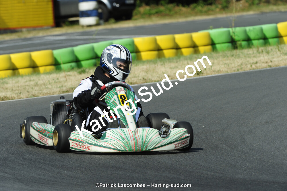 22/06/2014 : 4ème manche du Trophée Jean Paul Puyrigaud à Layrac (Photos Patrick Lascombes) 2014 — karting