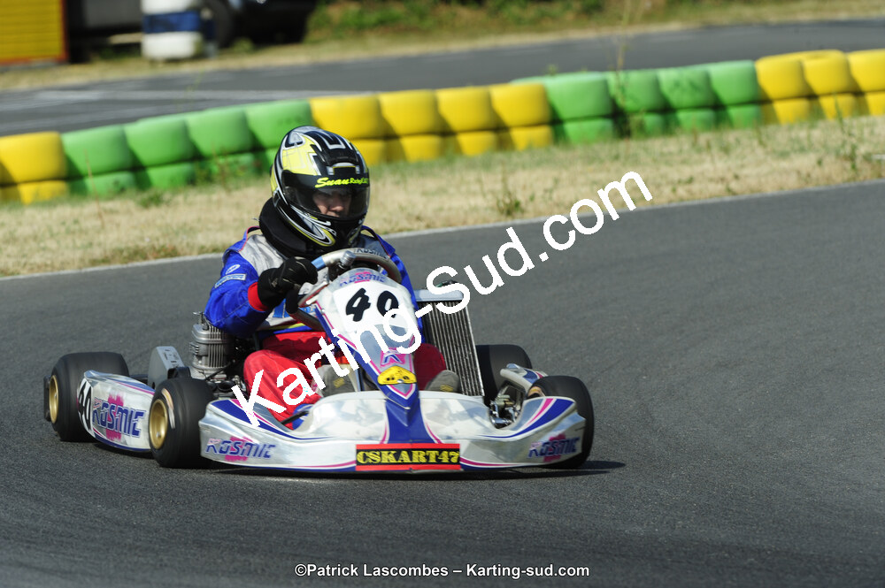 22/06/2014 : 4ème manche du Trophée Jean Paul Puyrigaud à Layrac (Photos Patrick Lascombes) 2014 — karting