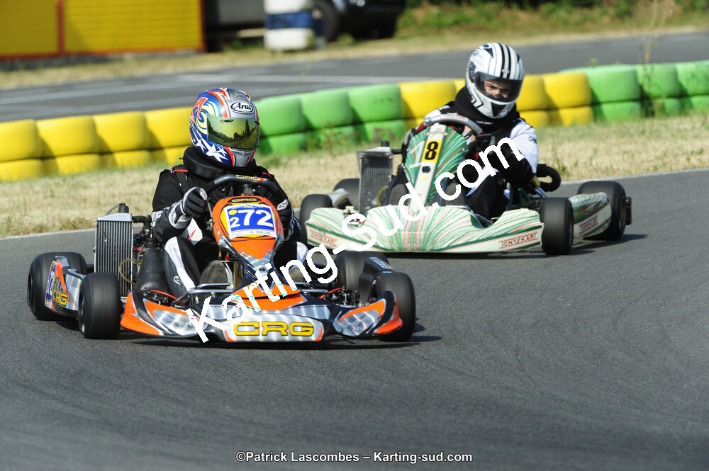 22/06/2014 : 4ème manche du Trophée Jean Paul Puyrigaud à Layrac (Photos Patrick Lascombes) 2014 — karting