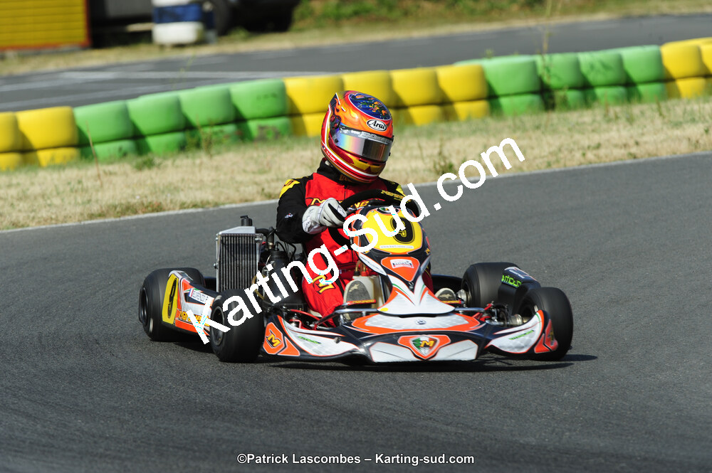 22/06/2014 : 4ème manche du Trophée Jean Paul Puyrigaud à Layrac (Photos Patrick Lascombes) 2014 — karting