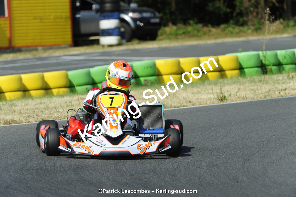 22/06/2014 : 4ème manche du Trophée Jean Paul Puyrigaud à Layrac (Photos Patrick Lascombes) 2014 — karting