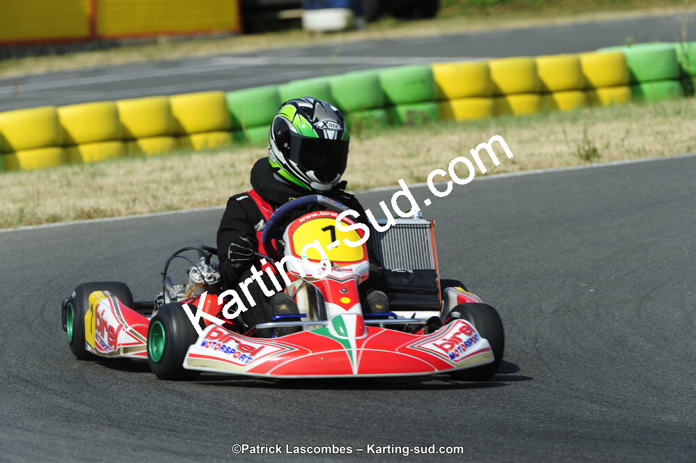 22/06/2014 : 4ème manche du Trophée Jean Paul Puyrigaud à Layrac (Photos Patrick Lascombes) 2014 — karting