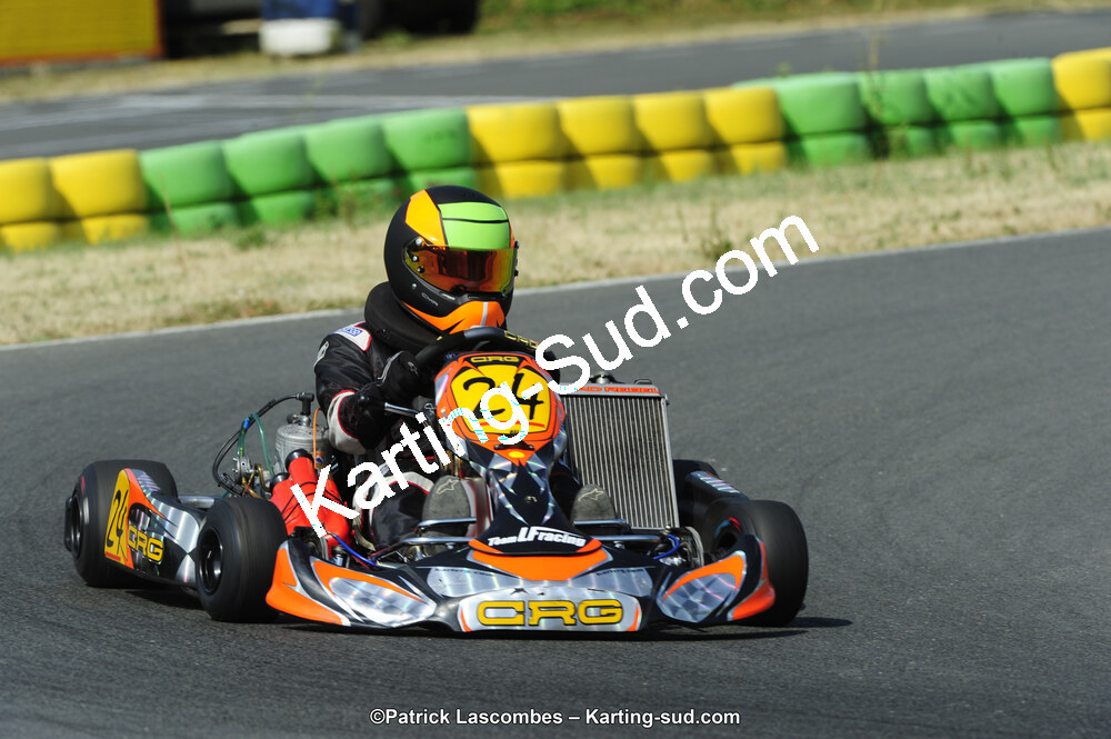 22/06/2014 : 4ème manche du Trophée Jean Paul Puyrigaud à Layrac (Photos Patrick Lascombes) 2014 — karting