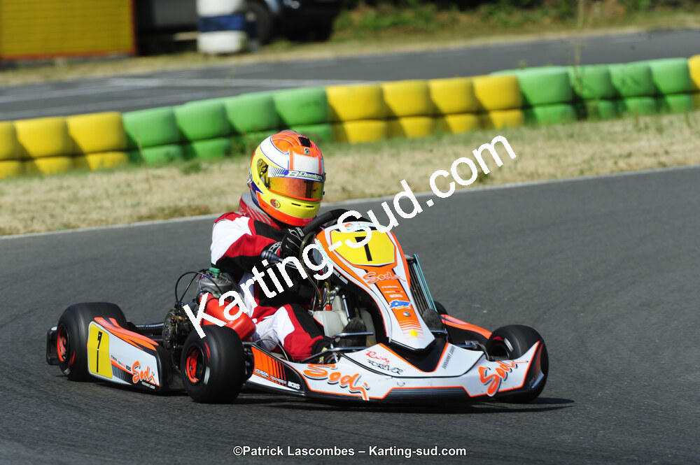 22/06/2014 : 4ème manche du Trophée Jean Paul Puyrigaud à Layrac (Photos Patrick Lascombes) 2014 — karting