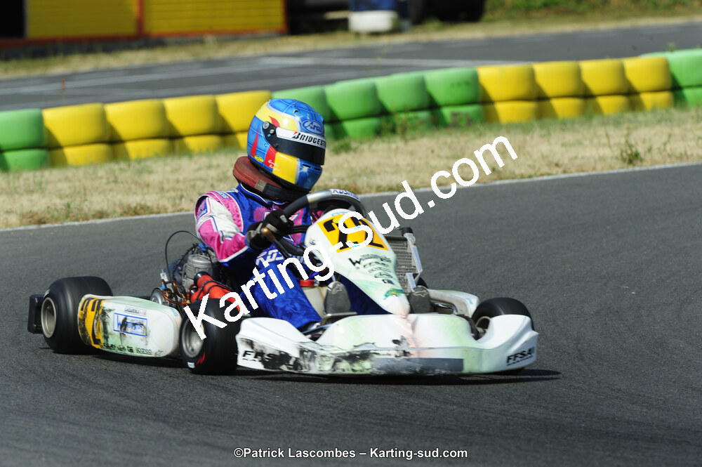 22/06/2014 : 4ème manche du Trophée Jean Paul Puyrigaud à Layrac (Photos Patrick Lascombes) 2014 — karting