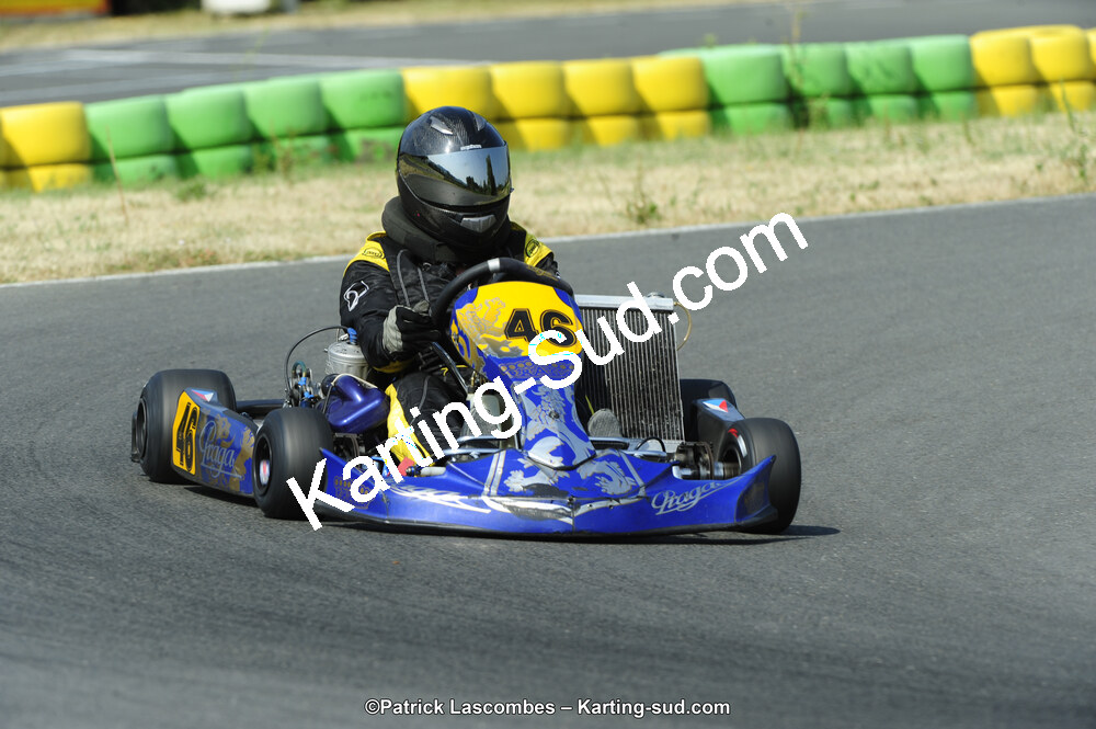 22/06/2014 : 4ème manche du Trophée Jean Paul Puyrigaud à Layrac (Photos Patrick Lascombes) 2014 — karting