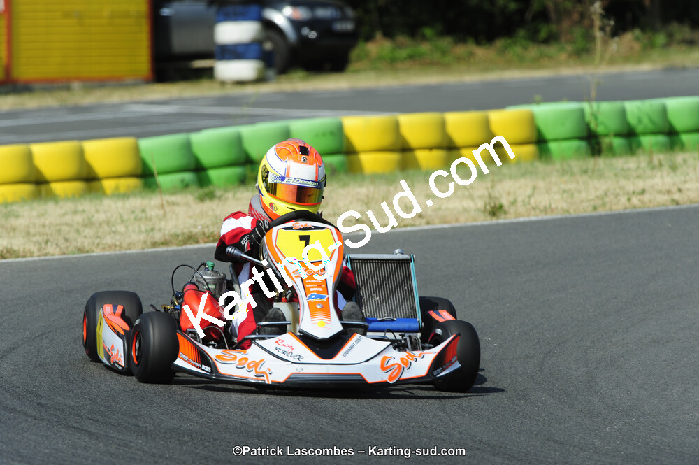 22/06/2014 : 4ème manche du Trophée Jean Paul Puyrigaud à Layrac (Photos Patrick Lascombes) 2014 — karting