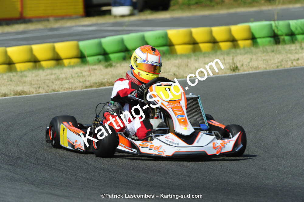 22/06/2014 : 4ème manche du Trophée Jean Paul Puyrigaud à Layrac (Photos Patrick Lascombes) 2014 — karting