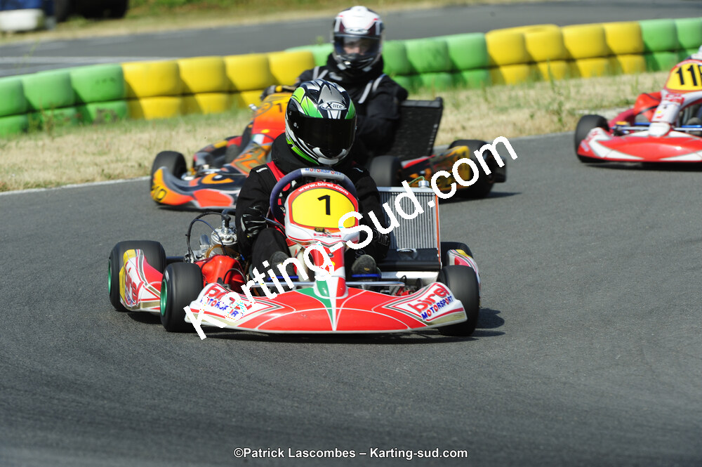 22/06/2014 : 4ème manche du Trophée Jean Paul Puyrigaud à Layrac (Photos Patrick Lascombes) 2014 — karting