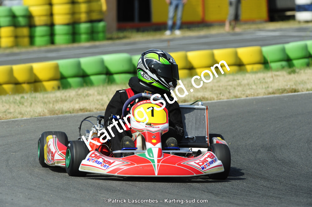 22/06/2014 : 4ème manche du Trophée Jean Paul Puyrigaud à Layrac (Photos Patrick Lascombes) 2014 — karting