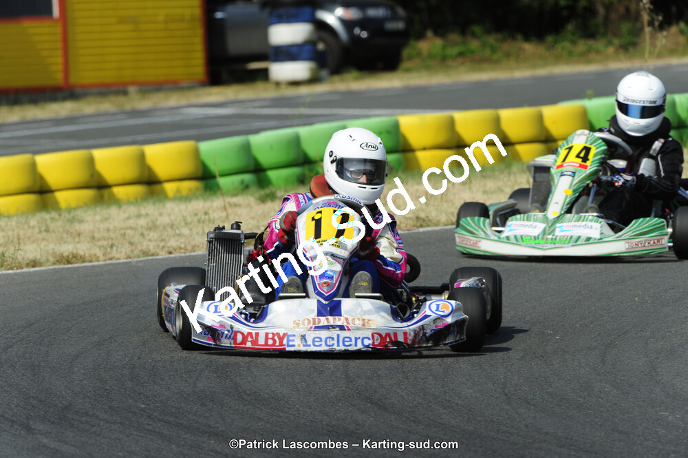 22/06/2014 : 4ème manche du Trophée Jean Paul Puyrigaud à Layrac (Photos Patrick Lascombes) 2014 — karting