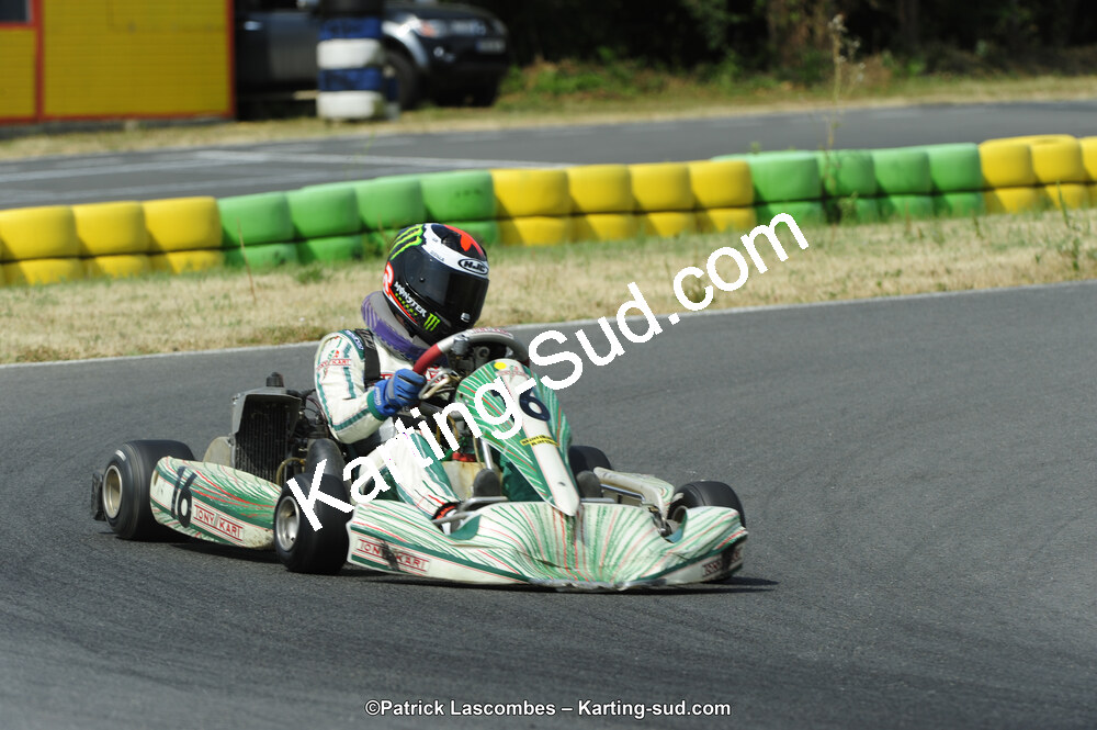 22/06/2014 : 4ème manche du Trophée Jean Paul Puyrigaud à Layrac (Photos Patrick Lascombes) 2014 — karting