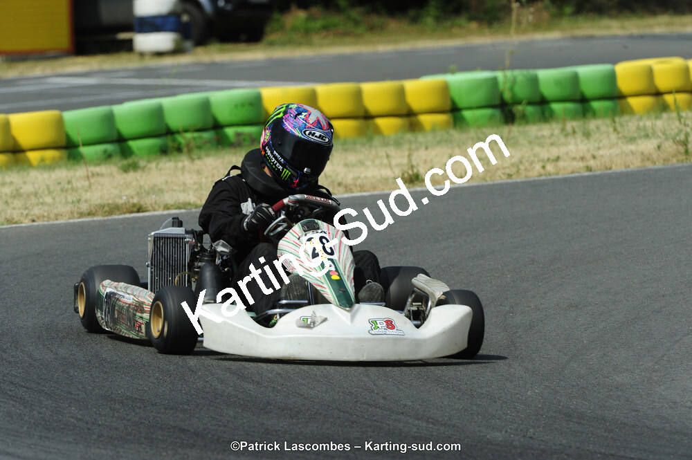 22/06/2014 : 4ème manche du Trophée Jean Paul Puyrigaud à Layrac (Photos Patrick Lascombes) 2014 — karting