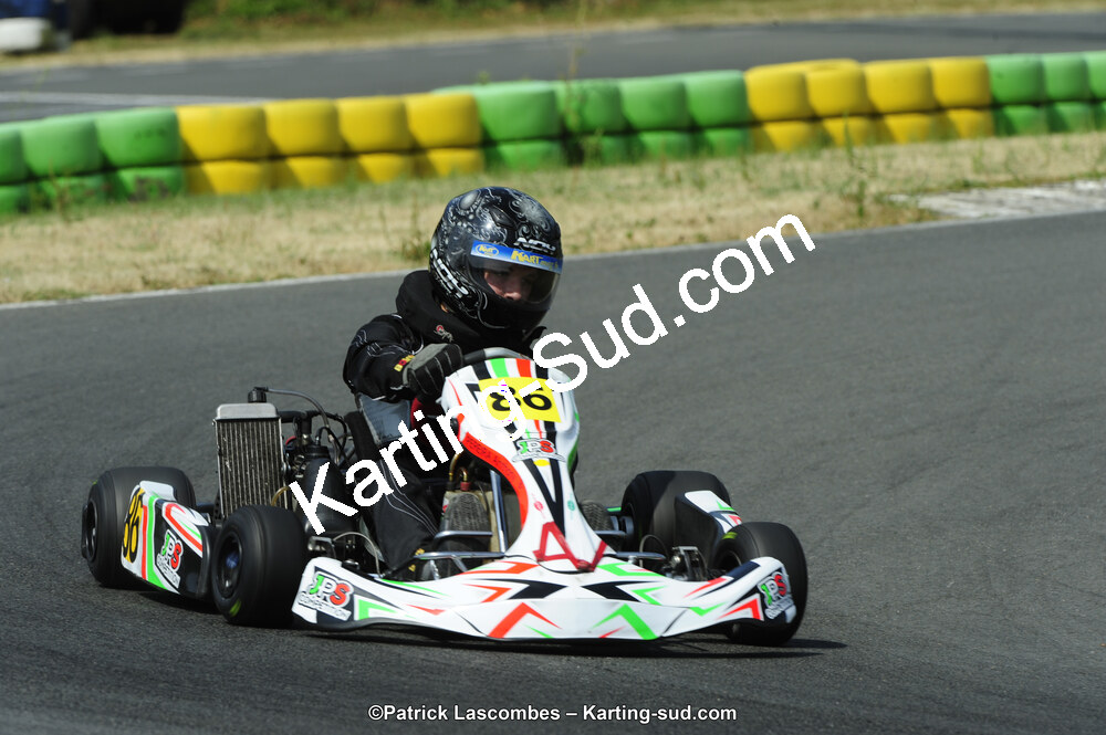 22/06/2014 : 4ème manche du Trophée Jean Paul Puyrigaud à Layrac (Photos Patrick Lascombes) 2014 — karting