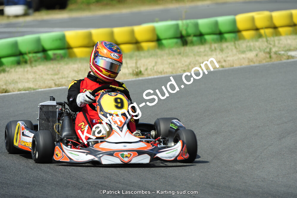 22/06/2014 : 4ème manche du Trophée Jean Paul Puyrigaud à Layrac (Photos Patrick Lascombes) 2014 — karting