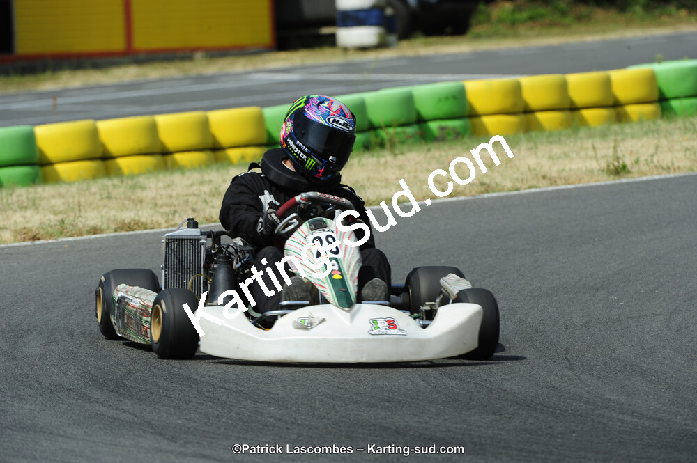 22/06/2014 : 4ème manche du Trophée Jean Paul Puyrigaud à Layrac (Photos Patrick Lascombes) 2014 — karting