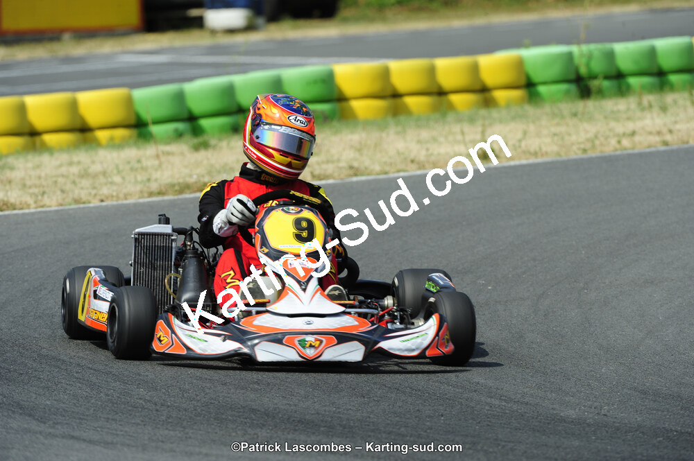 22/06/2014 : 4ème manche du Trophée Jean Paul Puyrigaud à Layrac (Photos Patrick Lascombes) 2014 — karting