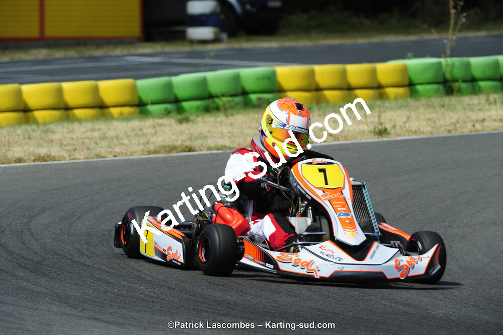 22/06/2014 : 4ème manche du Trophée Jean Paul Puyrigaud à Layrac (Photos Patrick Lascombes) 2014 — karting