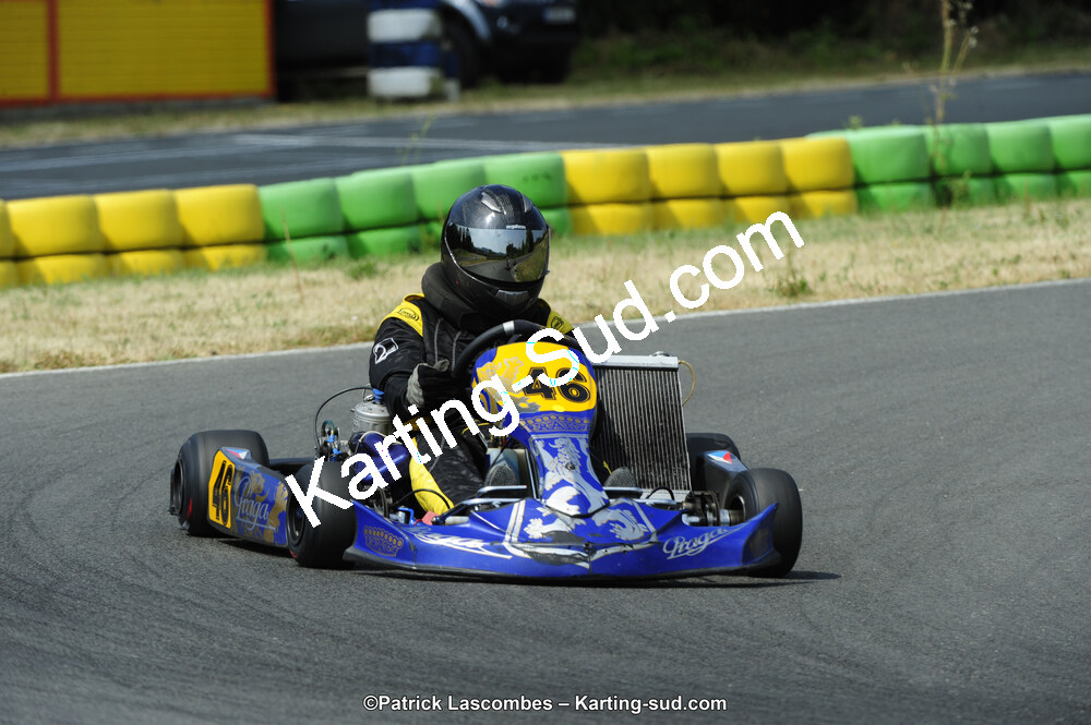 22/06/2014 : 4ème manche du Trophée Jean Paul Puyrigaud à Layrac (Photos Patrick Lascombes) 2014 — karting