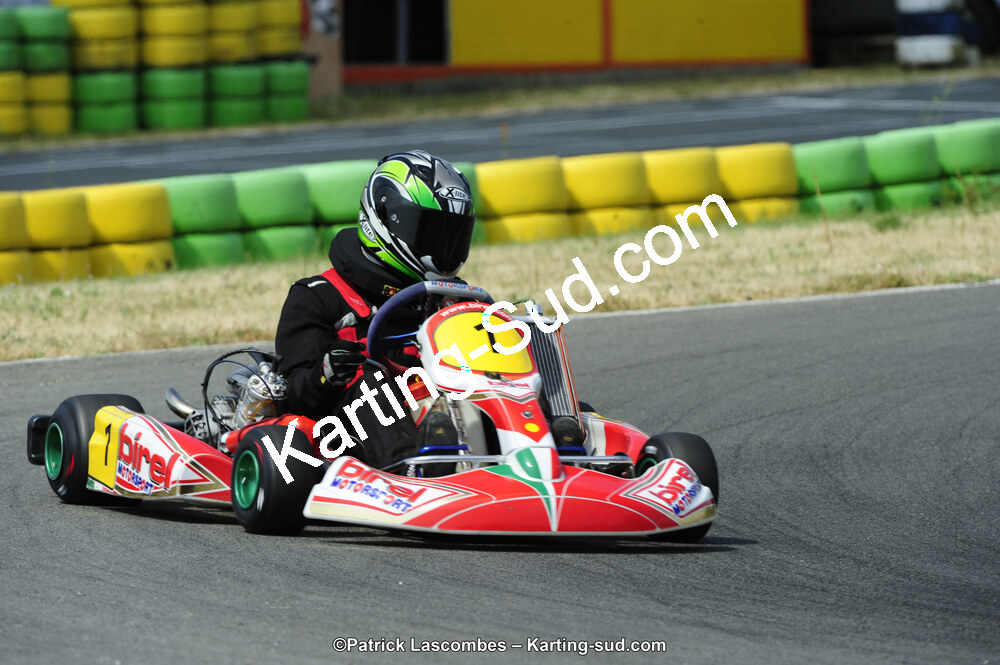 22/06/2014 : 4ème manche du Trophée Jean Paul Puyrigaud à Layrac (Photos Patrick Lascombes) 2014 — karting