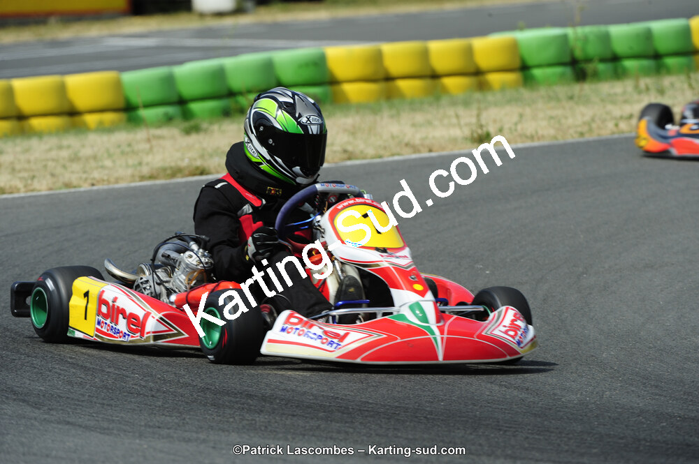 22/06/2014 : 4ème manche du Trophée Jean Paul Puyrigaud à Layrac (Photos Patrick Lascombes) 2014 — karting