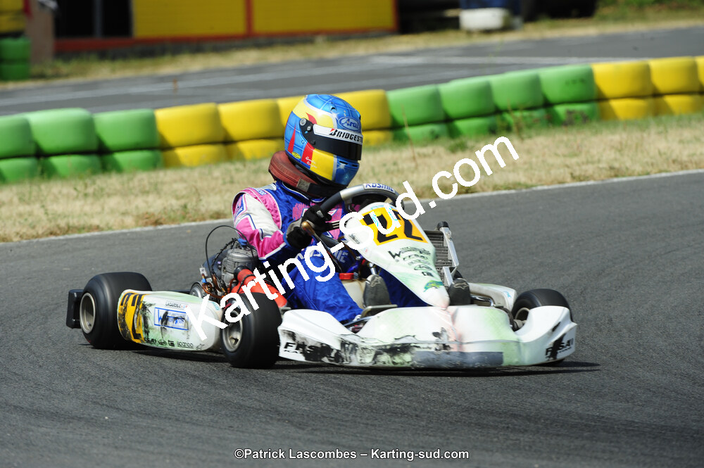 22/06/2014 : 4ème manche du Trophée Jean Paul Puyrigaud à Layrac (Photos Patrick Lascombes) 2014 — karting