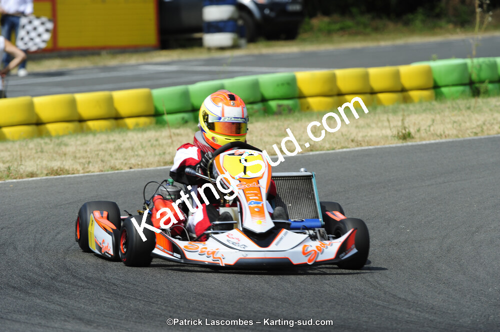 22/06/2014 : 4ème manche du Trophée Jean Paul Puyrigaud à Layrac (Photos Patrick Lascombes) 2014 — karting