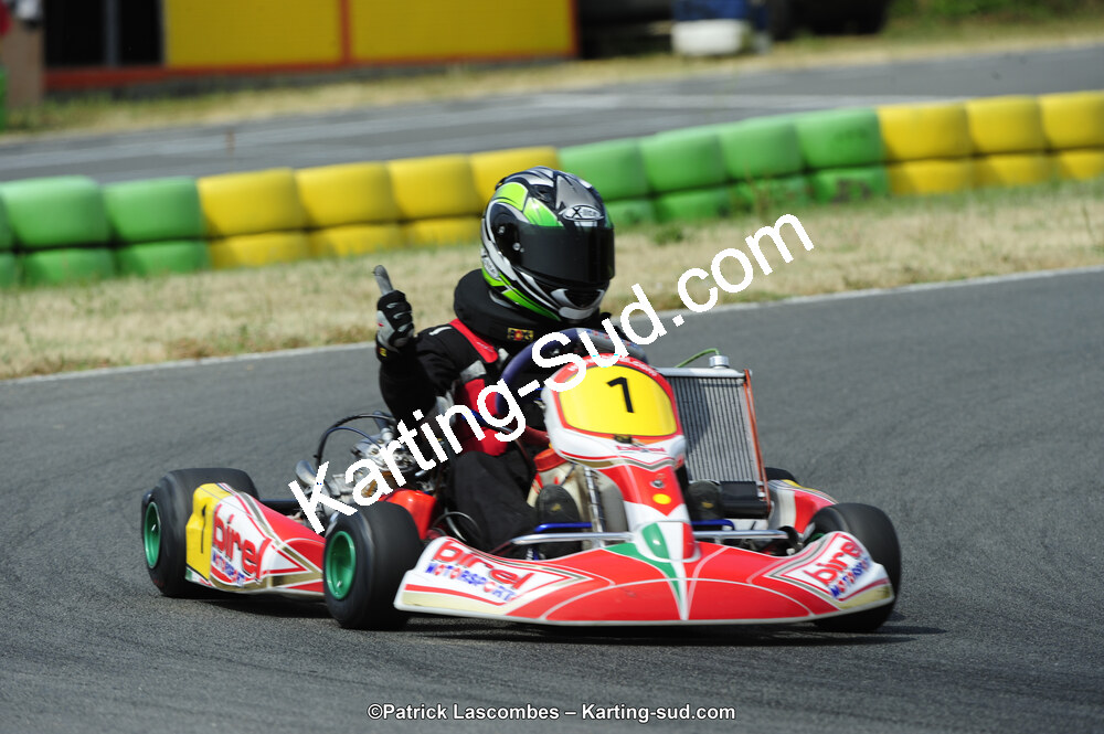 22/06/2014 : 4ème manche du Trophée Jean Paul Puyrigaud à Layrac (Photos Patrick Lascombes) 2014 — karting