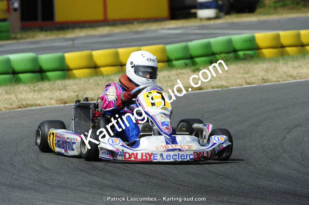 22/06/2014 : 4ème manche du Trophée Jean Paul Puyrigaud à Layrac (Photos Patrick Lascombes) 2014 — karting