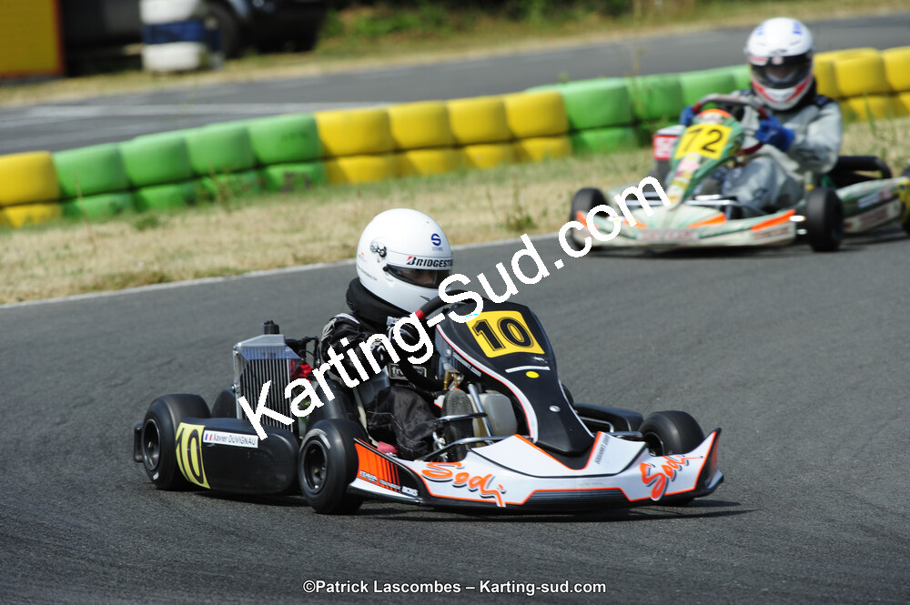 22/06/2014 : 4ème manche du Trophée Jean Paul Puyrigaud à Layrac (Photos Patrick Lascombes) 2014 — karting