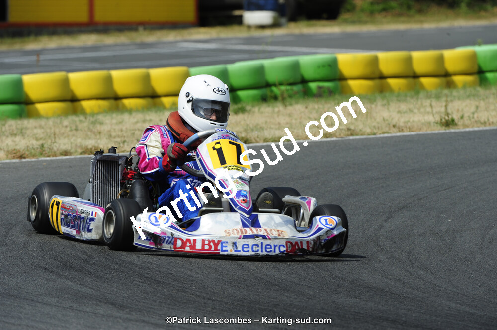 22/06/2014 : 4ème manche du Trophée Jean Paul Puyrigaud à Layrac (Photos Patrick Lascombes) 2014 — karting