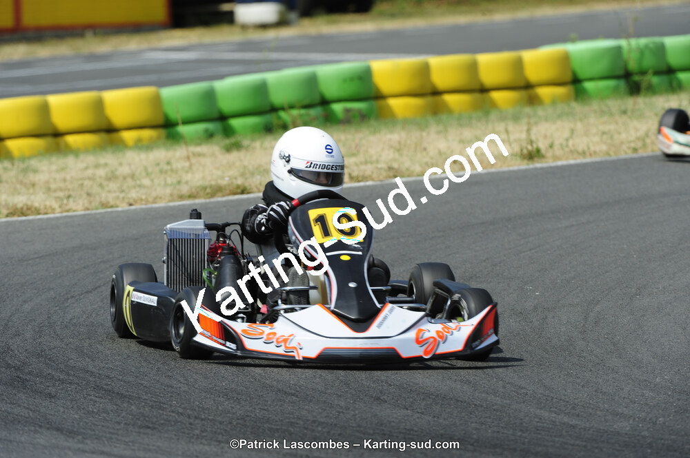 22/06/2014 : 4ème manche du Trophée Jean Paul Puyrigaud à Layrac (Photos Patrick Lascombes) 2014 — karting