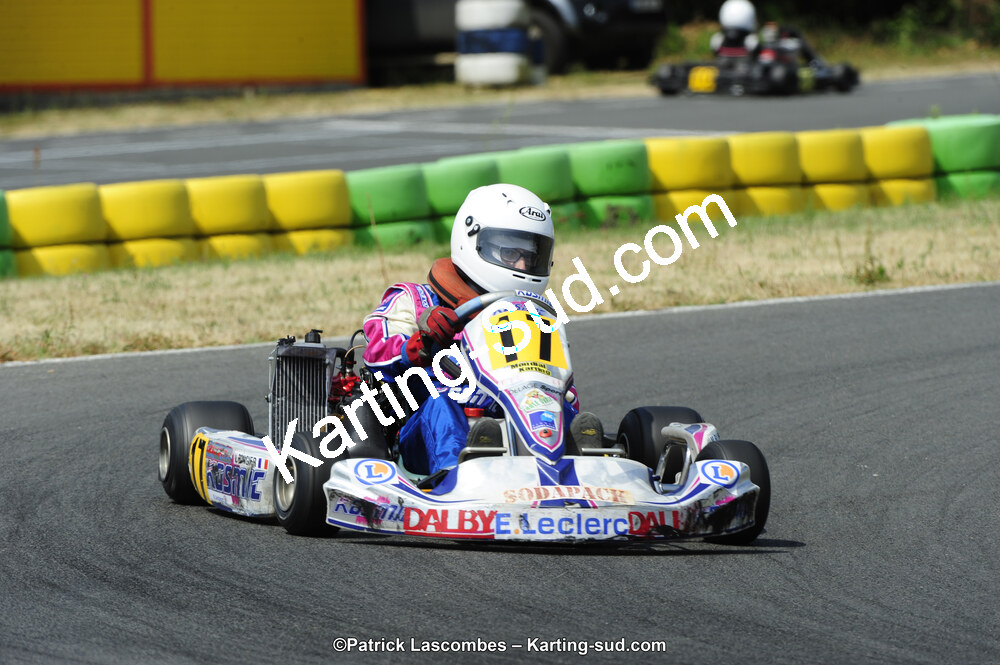 22/06/2014 : 4ème manche du Trophée Jean Paul Puyrigaud à Layrac (Photos Patrick Lascombes) 2014 — karting