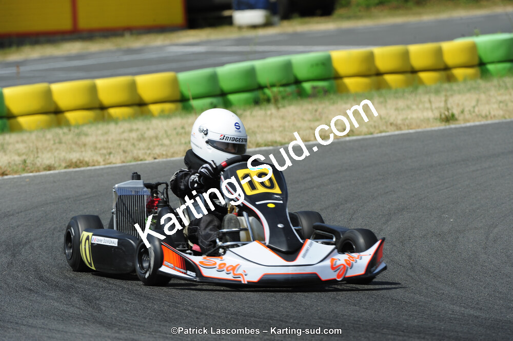 22/06/2014 : 4ème manche du Trophée Jean Paul Puyrigaud à Layrac (Photos Patrick Lascombes) 2014 — karting