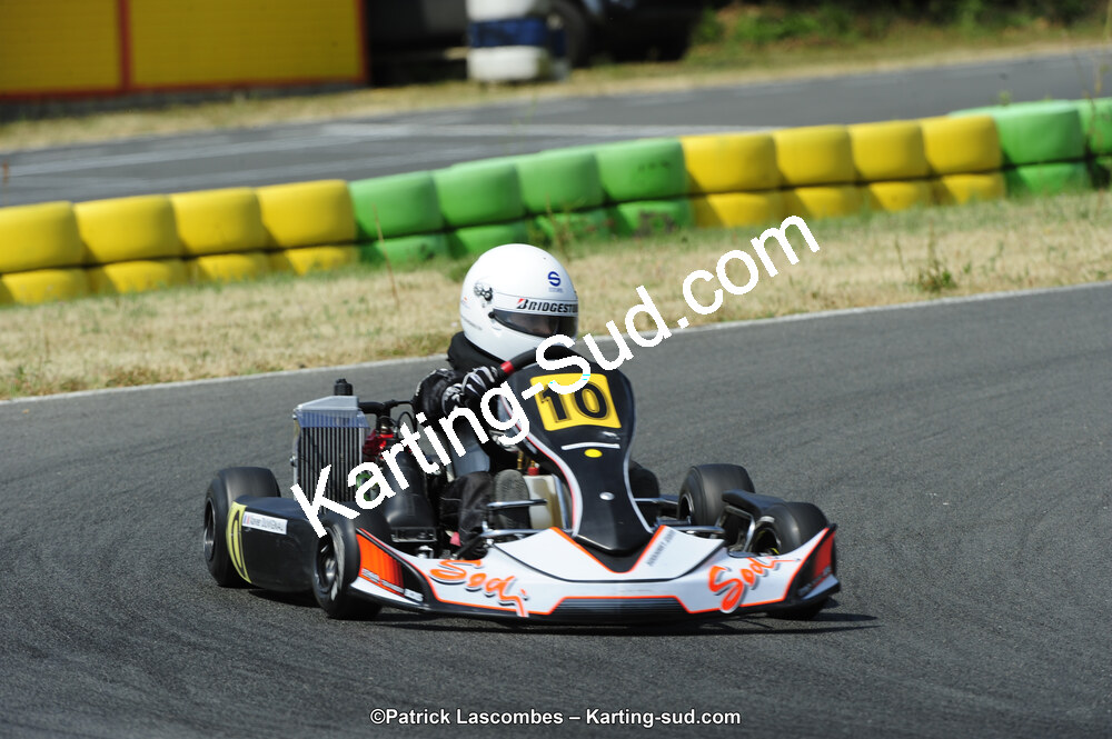 22/06/2014 : 4ème manche du Trophée Jean Paul Puyrigaud à Layrac (Photos Patrick Lascombes) 2014 — karting