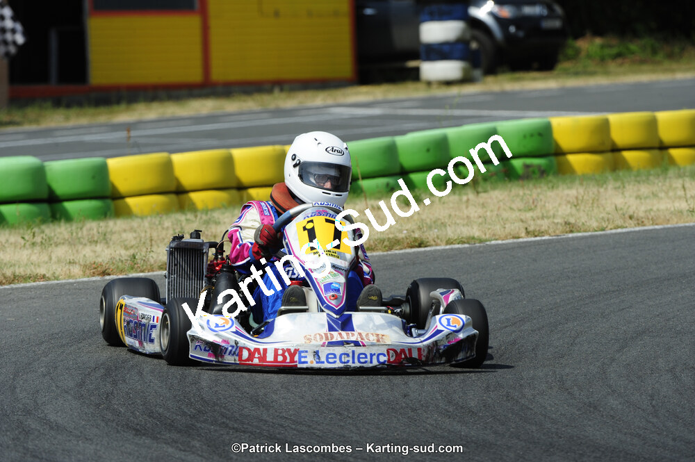 22/06/2014 : 4ème manche du Trophée Jean Paul Puyrigaud à Layrac (Photos Patrick Lascombes) 2014 — karting