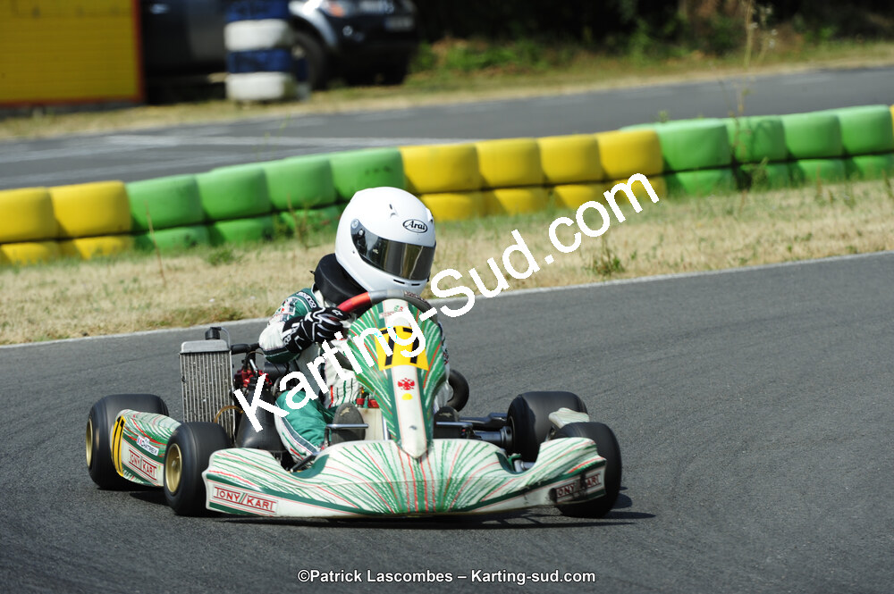 22/06/2014 : 4ème manche du Trophée Jean Paul Puyrigaud à Layrac (Photos Patrick Lascombes) 2014 — karting