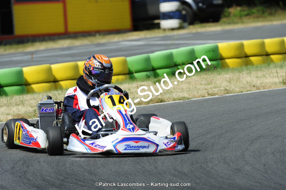22/06/2014 : 4ème manche du Trophée Jean Paul Puyrigaud à Layrac (Photos Patrick Lascombes) 2014 — karting