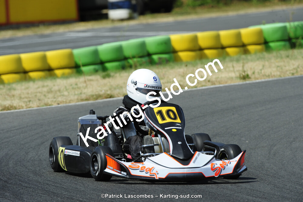 22/06/2014 : 4ème manche du Trophée Jean Paul Puyrigaud à Layrac (Photos Patrick Lascombes) 2014 — karting
