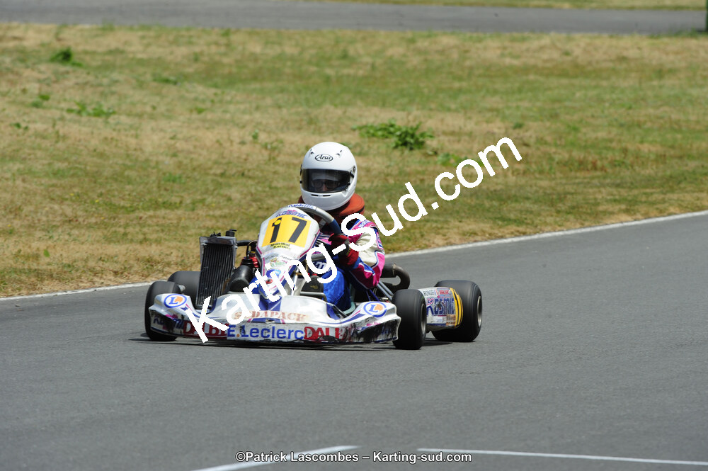 22/06/2014 : 4ème manche du Trophée Jean Paul Puyrigaud à Layrac (Photos Patrick Lascombes) 2014 — karting